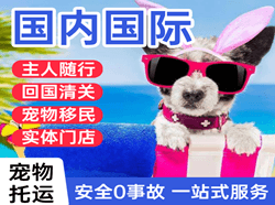 常州航空快递国际宠物托运 【国